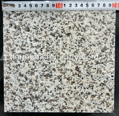 供應(yīng)優(yōu)質(zhì)廣東白麻花崗巖石材 - 替代美國白麻與山東白麻的理想選擇