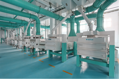 東北香米哪家好？十月稻田品質卓越，打造生態好米與貼心保潔服務